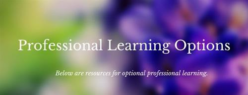 Professional Learning Options 